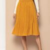 Accordion Pleats Flared Skirt